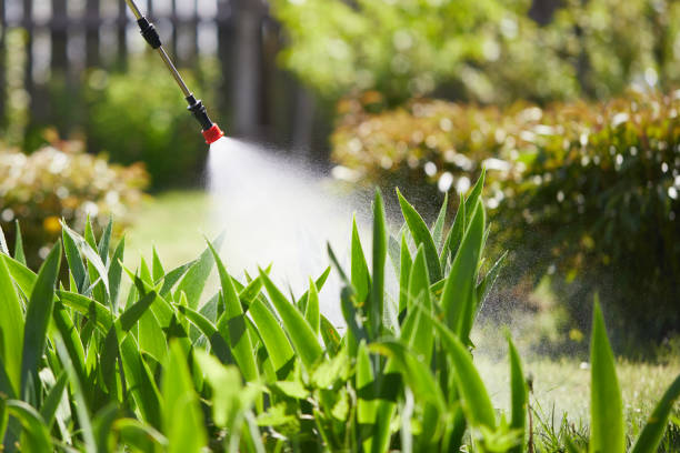 24/7 Emergency Cockroach Control experts in Howe, TX
