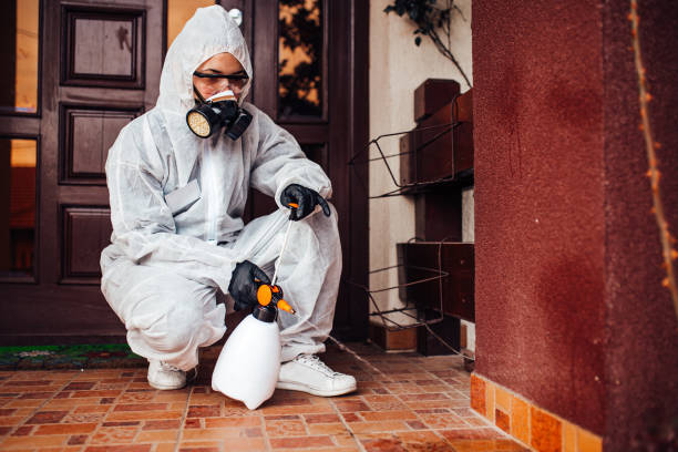 Reliable Cockroach Control contractor in Howe, TX by Nex Pest Control